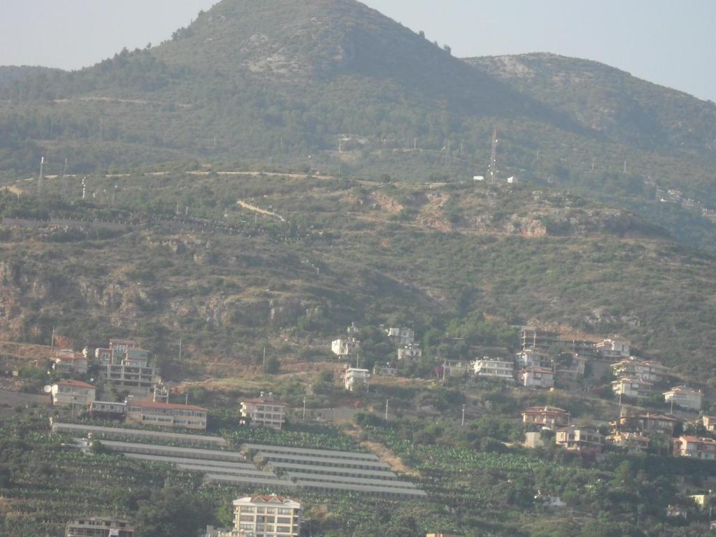 Hotel Yildirimoglu Alanya Pokój zdjęcie