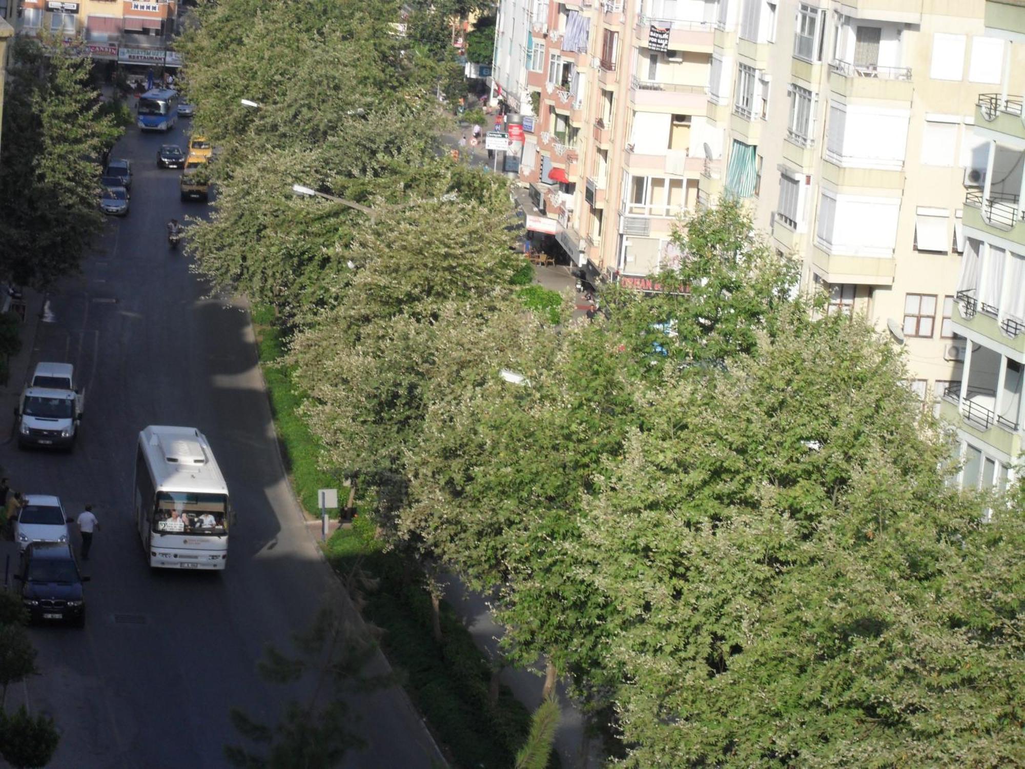 Hotel Yildirimoglu Alanya Zewnętrze zdjęcie